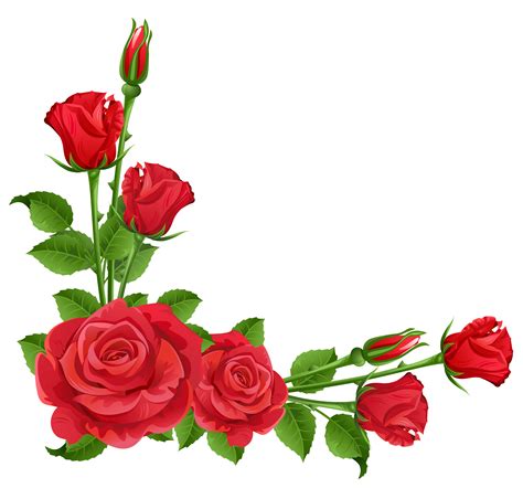 vector rose png